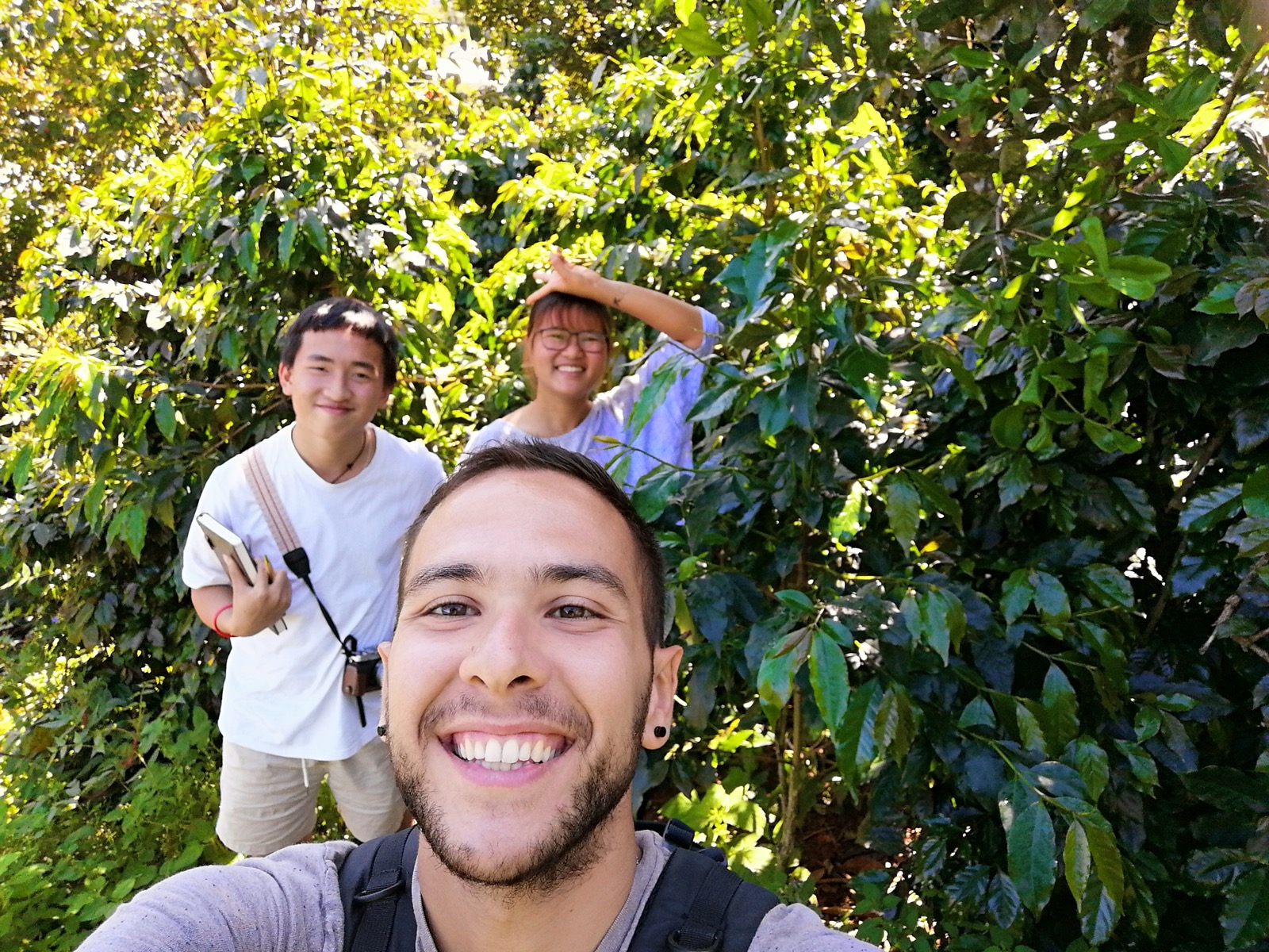 Origin trip